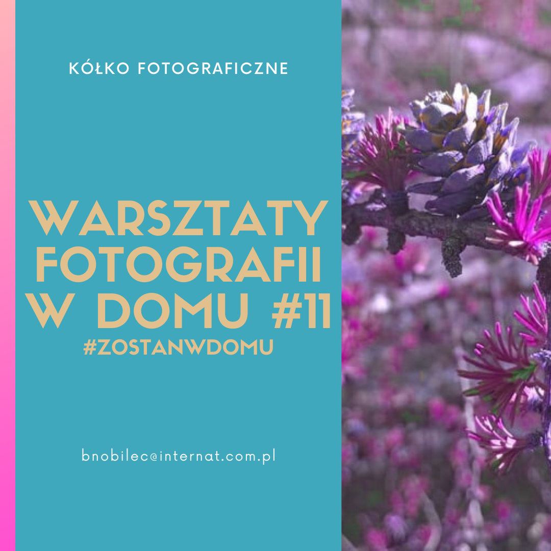 DOSKONALIMY W DOMU SWÓJ WARSZTAT FOTOGRAFICZNY #11 #zostanwdomu